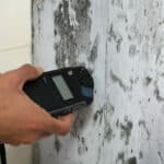 mold remediation In Columbia