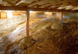 Professional Crawl Space Solutions