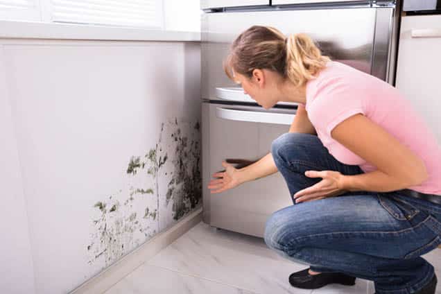 mold testing in annapolis, MD